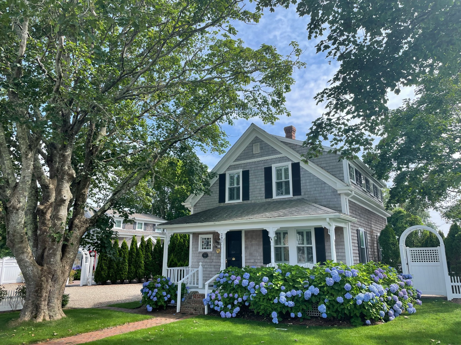 Classic New England shingle home with blue hydrangeas